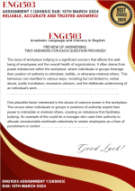 ENG1503 Assignment 2024
