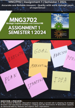 MNG3702 Assignment