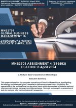MNB3701 Assignment 4