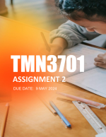 TMN3701 Assignment 2