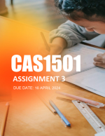 CAS1501 Assignment 3 answers