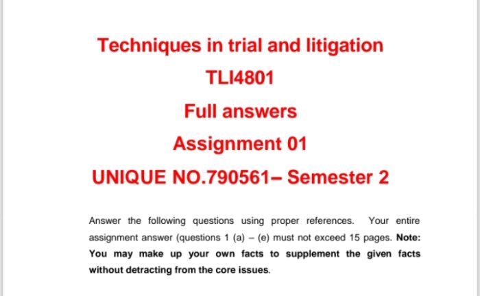 TLI4801 ASS1 SEM2 2024⭐⭐⭐⭐⭐