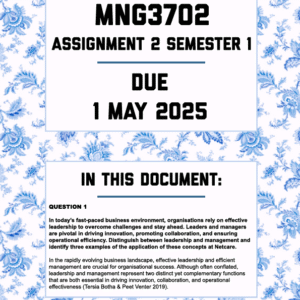 MNG3702 Assignment 2