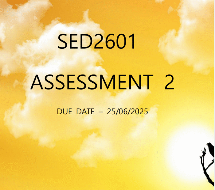 SED2601 ASS 2 (WITH REFERENCE)