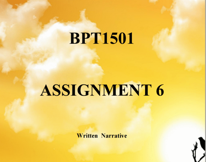 BPT1501 ASSIGNMENT 6 (WRITTEN NARRATIVE) 20 MAY 2025