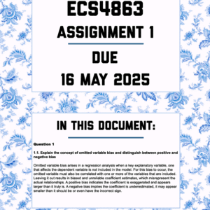 ECS4863 ASSIGNMENT 1 2025 - FULLY ANSWERED (DUE 16 MAY 2025)