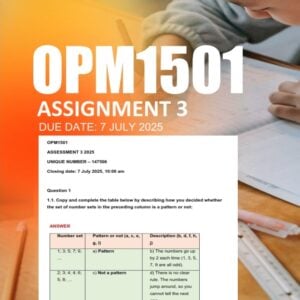 OPM1501 Assignment 3 2025 Due 7 July 2025
