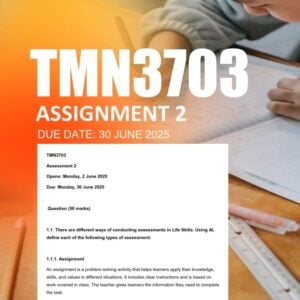TMN3703 Assignment 2 2025 Due 30 June 2025