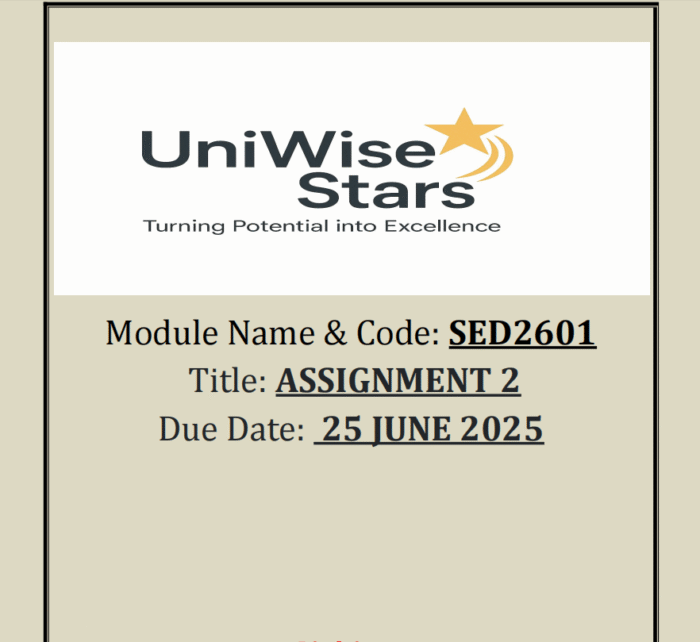 SED2601 ASSIGNMENT 2 - FULL ANSWERS (25 JUNE 2025)