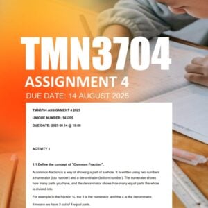 TMN3704 Assignment 4 2025 - Due 14 August 2025