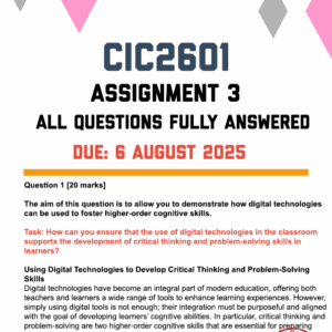 CIC2601 ASSIGNMENT 3 2025 - FULLY ANSWERED (DUE 6 AUGUST 2025)
