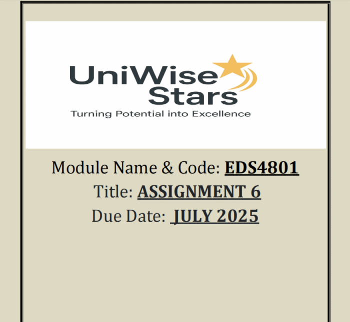 EDS4801 ASSIGNMENT 6 - FULL ESSAYS AND REFERENCE ( 2 JULY 2025)