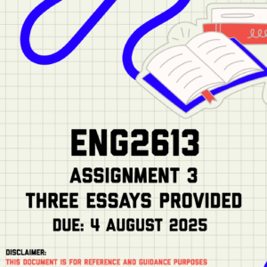 ENG2613 Assignment 3 Memo | Due 4 August 2025