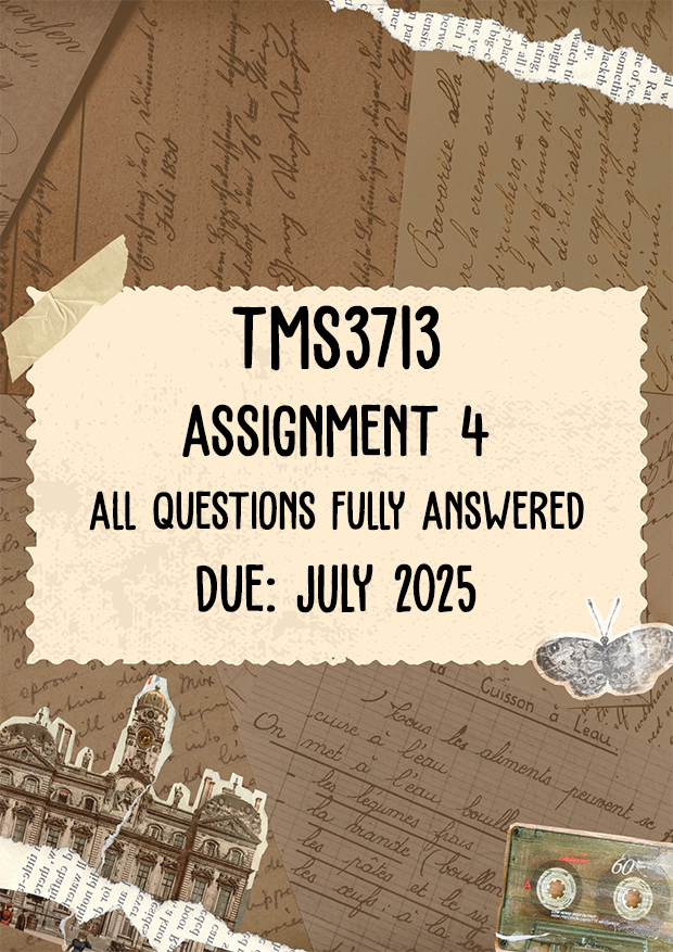 TMS3713 Assignment 4 Memo | Due July 2025