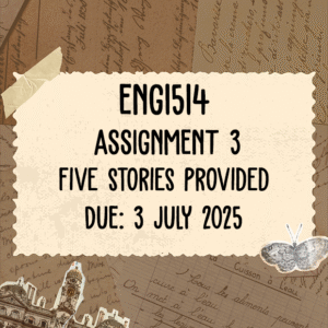 ENG1514 Assignment 3 Memo | Due 3 July 2025
