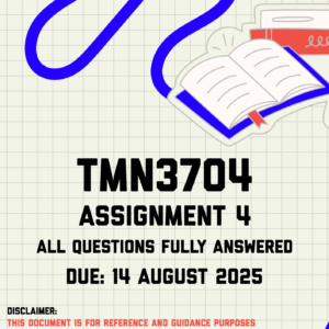 TMN3704 Assignment 4 Memo | Due 14 August 2025