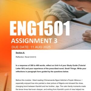 ENG1501 Assignment 3 2025 Due 11 August 2025