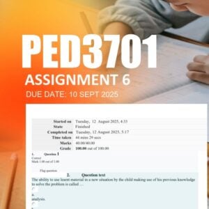 PED3701 Assignment