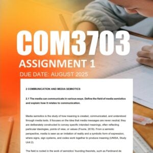 COM3703 Assignment