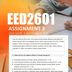 EED2601 Assignment 3 2025 Due 2 September 2025