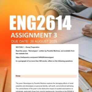 ENG2614 Assignment 3 2025 Due 26 August 2025