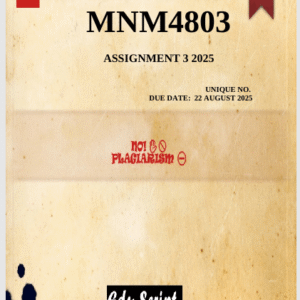 MNM4803 Assignment 3 (COMPLETE ANSWERS) 2025