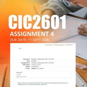CIC2601 Assignment 4 Quiz 2025 - Due 11 September 2025