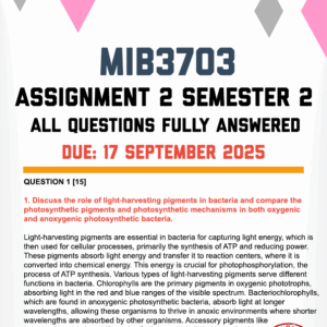MIB3703 ASSIGNMENT 2 SEMESTER 2 2025 - FULLY ANSWERED (DUE 17 SEPTEMBER 2025)