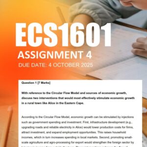 ECS1601 Assignment 4 ELECTIVE 2025 - DUE 4 October 2025