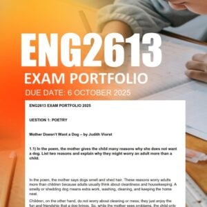 ENG2613 Exam Portfolio 2025 Due 6 October 2025 (20:00)