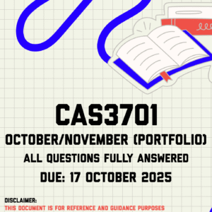 CAS3701 October November (Portfolio) Memo | Due 17 October 2025