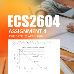 ECS2604 Assignment 4 Semester 1 2026 - Due 20 April 2026