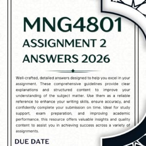 MNG4801 Ass 2 (Due June 2026)