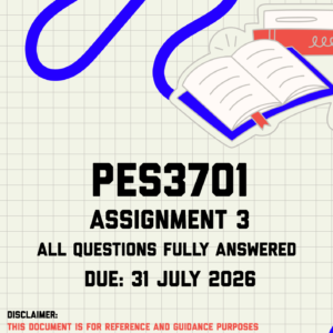 PES3701 Assignment 3 Memo | Due 31 July 2026