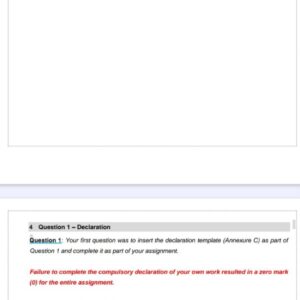 MNG4801 Assignment 2 2026 | Due 21 July 2026 - Distinction Guaranteed