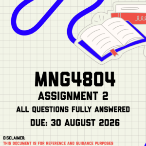 MNG4804 Assignment 2 Memo | Due 30 August 2026