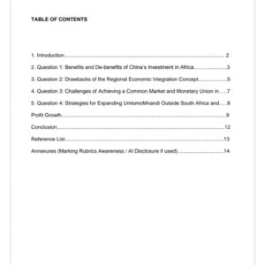 MNG4804 Assignment 3 2026 | Due 16 October 2026 - Distinction Guaranteed